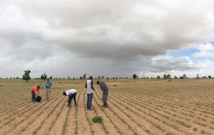Senegal field work_cropped