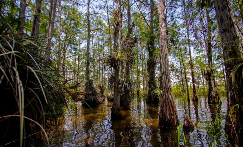 Aaron Umpierre_sized 1200